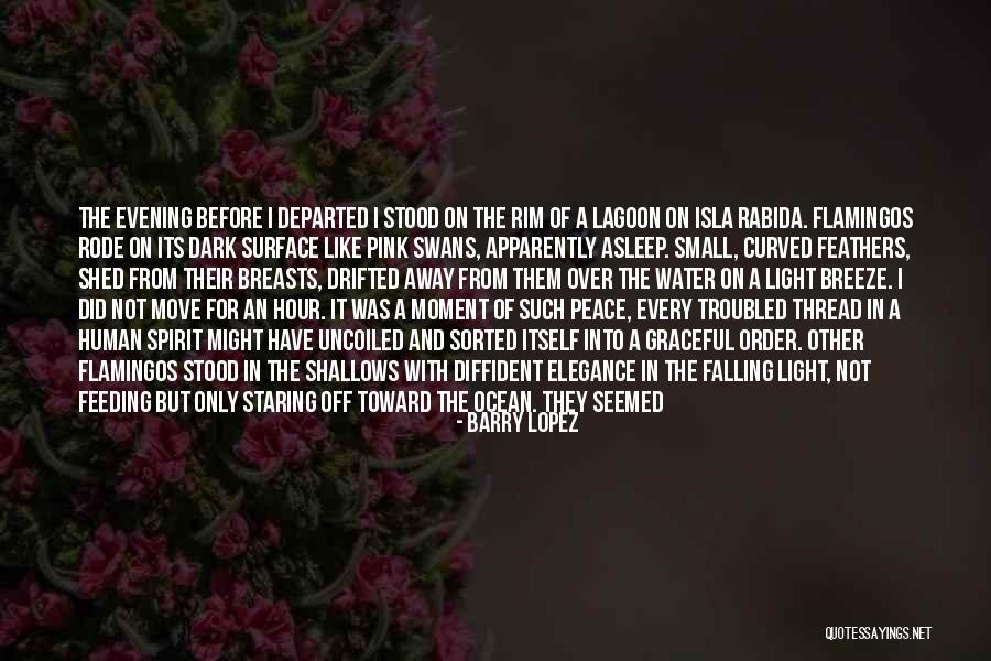 Graceful Nature Quotes By Barry Lopez Graceful Nature Quotes By Barry Lopez