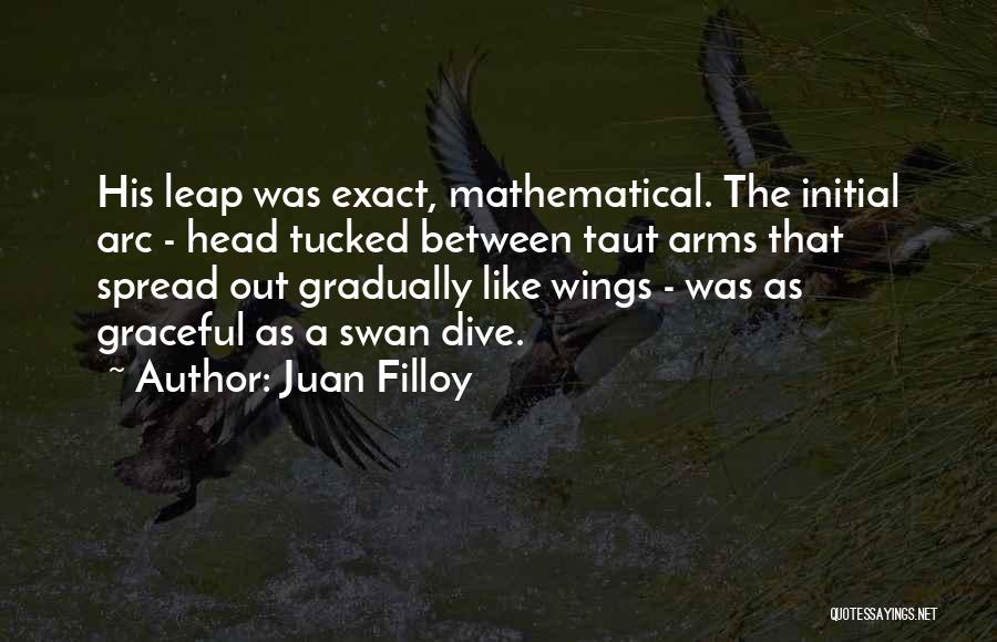 Graceful Swan Quotes By Juan Filloy