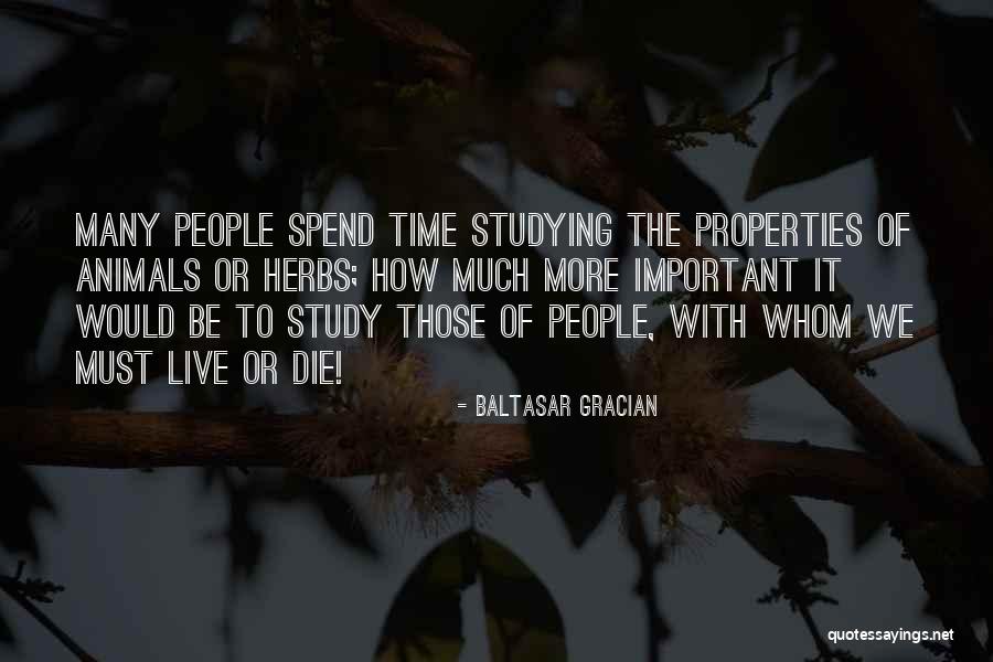 Gracian Quotes By Baltasar Gracian