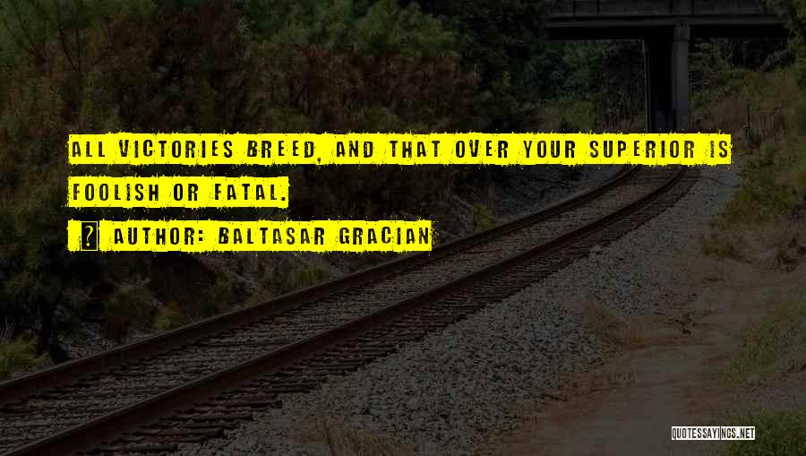 Gracian Quotes By Baltasar Gracian