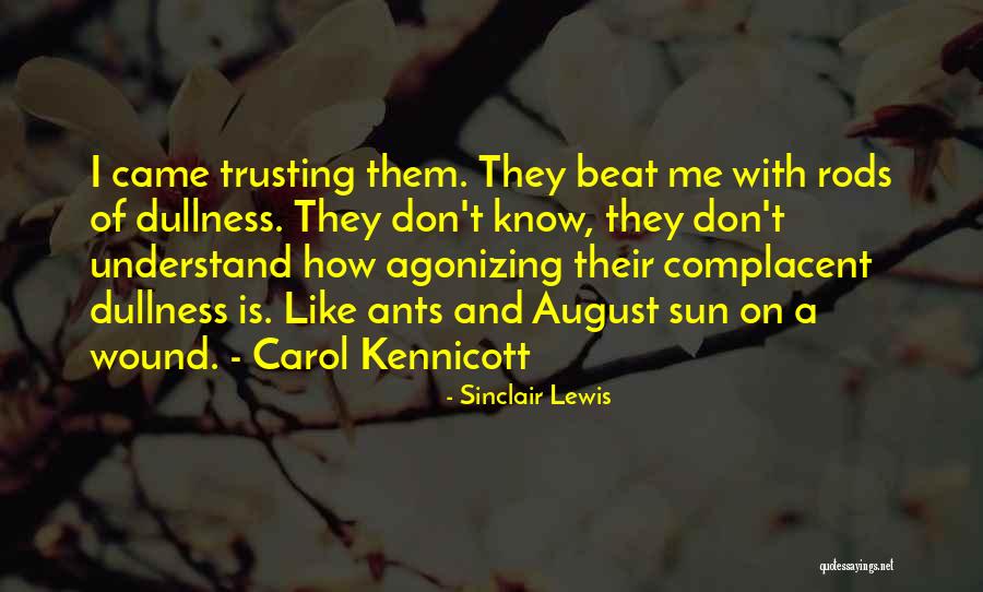 Graciete Ferro Quotes By Sinclair Lewis Graciete Ferro Quotes By Sinclair Lewis