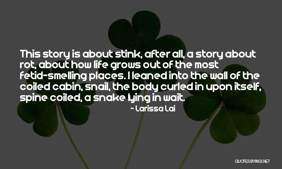 Graciosa And Percinet Quotes By Larissa Lai Graciosa And Percinet Quotes By Larissa Lai
