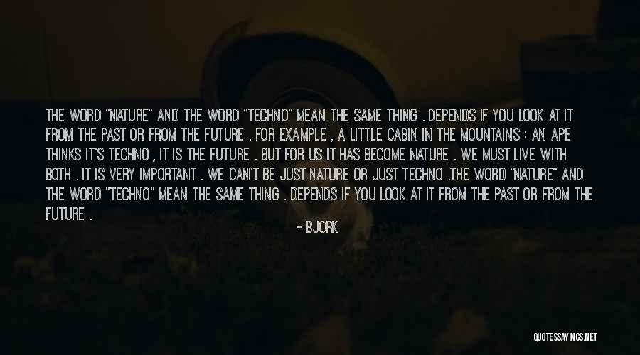 Grackles Birds Quotes By Bjork Grackles Birds Quotes By Bjork