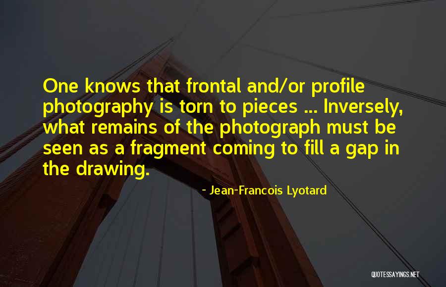 Grackles Birds Quotes By Jean-Francois Lyotard Grackles Birds Quotes By Jean-Francois Lyotard