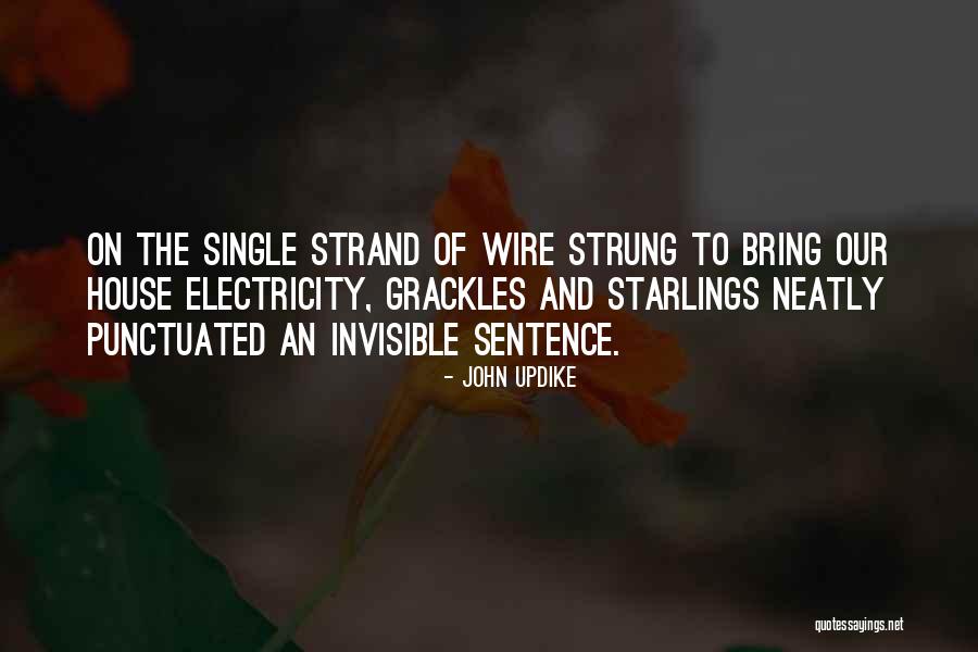 Grackles Birds Quotes By John Updike Grackles Birds Quotes By John Updike