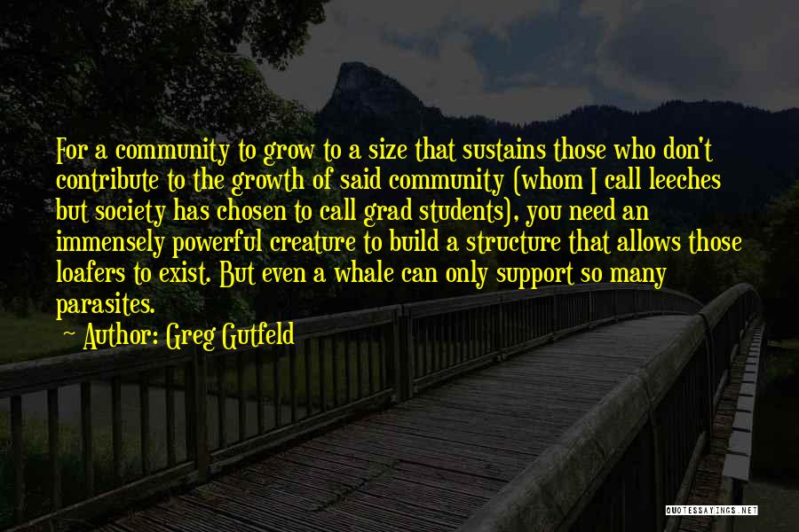 Grad Students Quotes By Greg Gutfeld