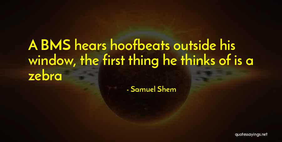 Gradeta Quotes By Samuel Shem Gradeta Quotes By Samuel Shem