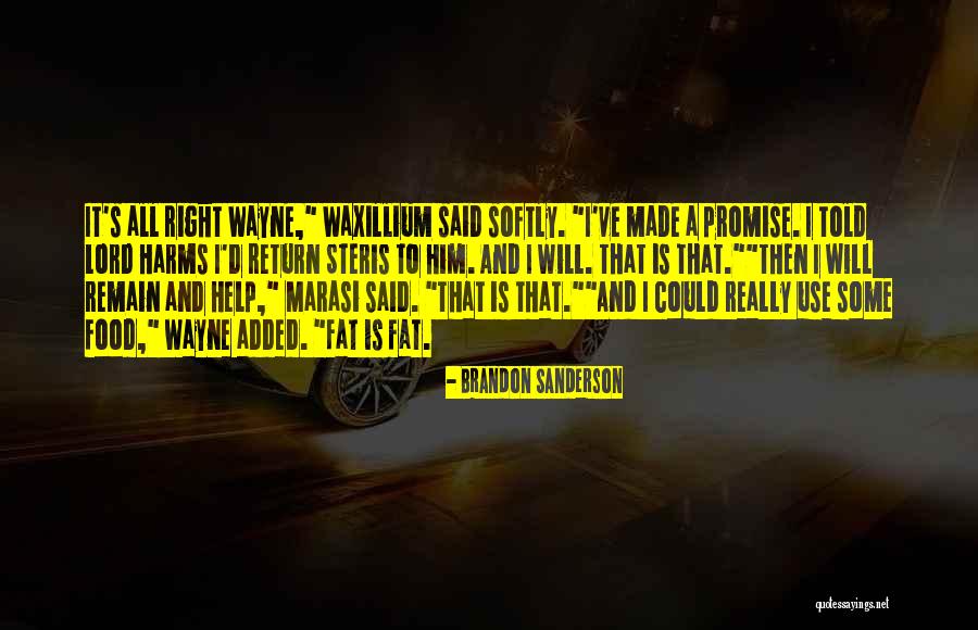Gradualist Abolitionist Quotes By Brandon Sanderson Gradualist Abolitionist Quotes By Brandon Sanderson