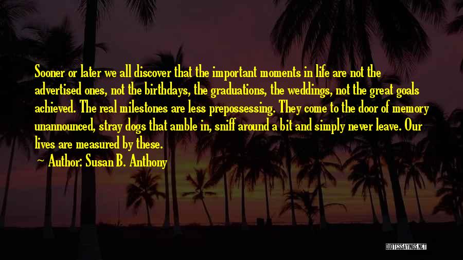 Graduations Quotes By Susan B. Anthony