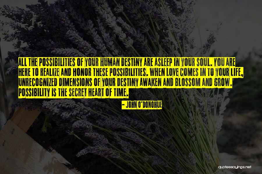 Graffitis Para Quotes By John O'Donohue Graffitis Para Quotes By John O'Donohue