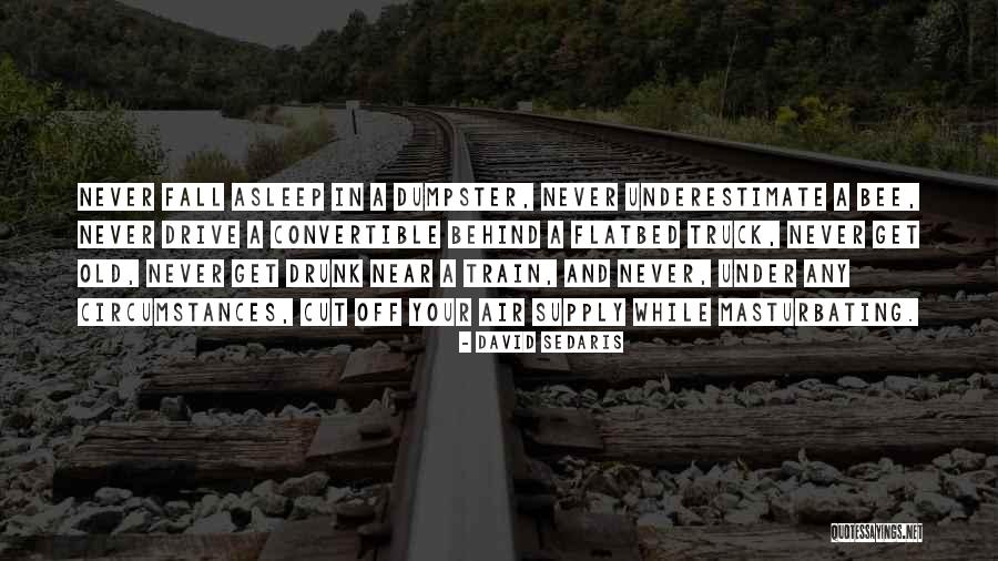 Graffunder Safes Quotes By David Sedaris Graffunder Safes Quotes By David Sedaris