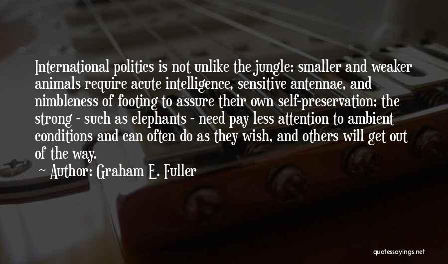 Graham E. Fuller Quotes 1233007