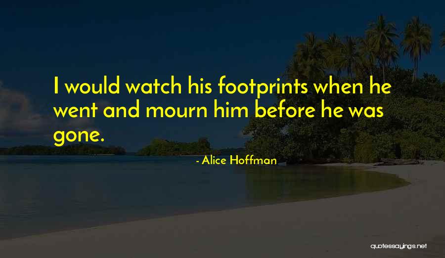 Graie Hagans Quotes By Alice Hoffman Graie Hagans Quotes By Alice Hoffman