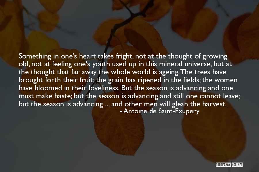 Grain Harvest Quotes By Antoine De Saint-Exupery Grain Harvest Quotes By Antoine De Saint-Exupery