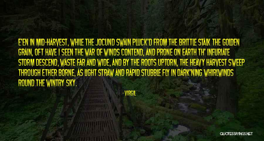 Grain Harvest Quotes By Virgil Grain Harvest Quotes By Virgil