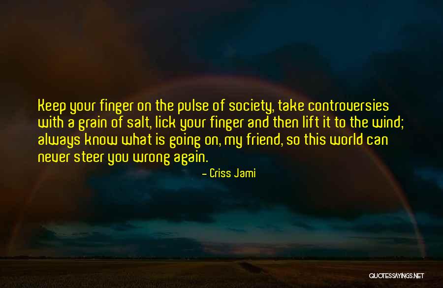 Grain Of Salt Quotes By Criss Jami