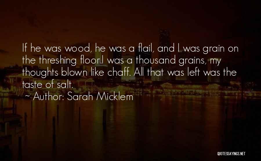 Grain Of Salt Quotes By Sarah Micklem