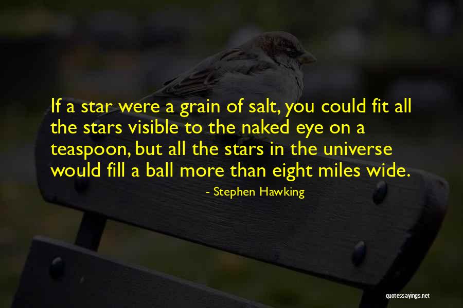 Grain Of Salt Quotes By Stephen Hawking