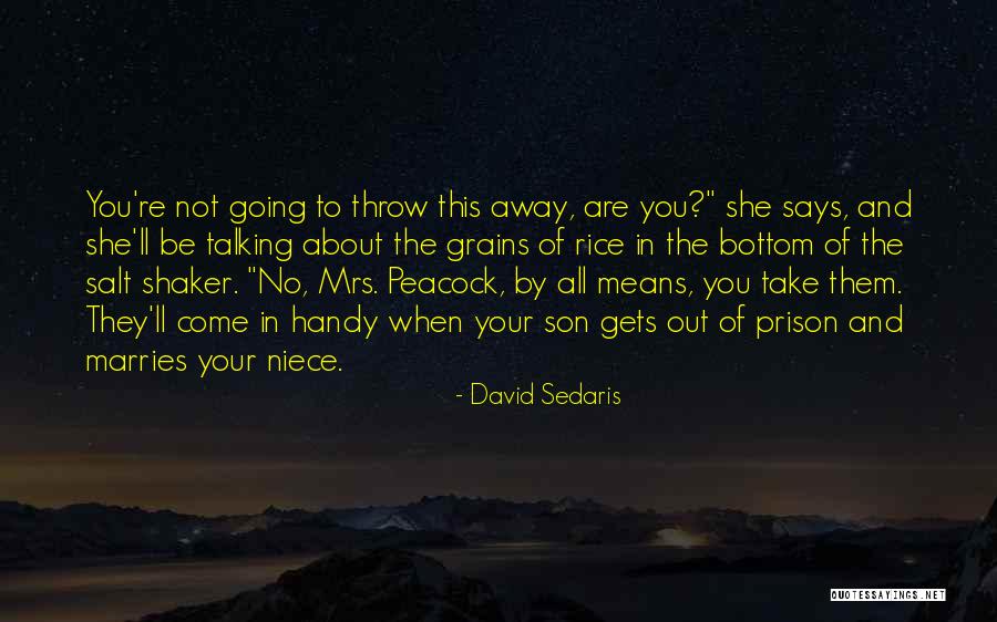 Grains Of Rice Quotes By David Sedaris Grains Of Rice Quotes By David Sedaris
