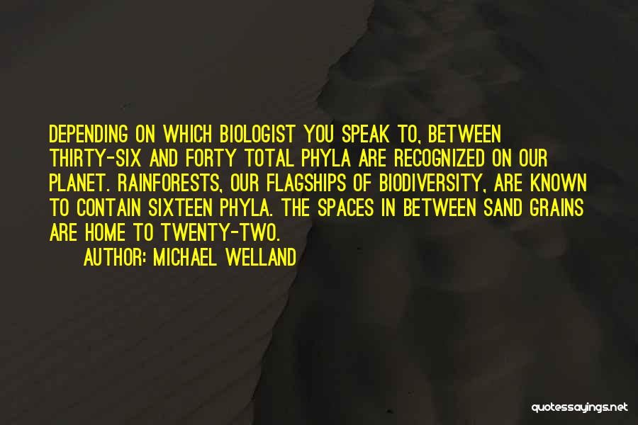 Grains Of Sand Quotes By Michael Welland