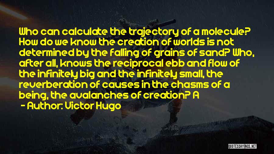 Grains Of Sand Quotes By Victor Hugo