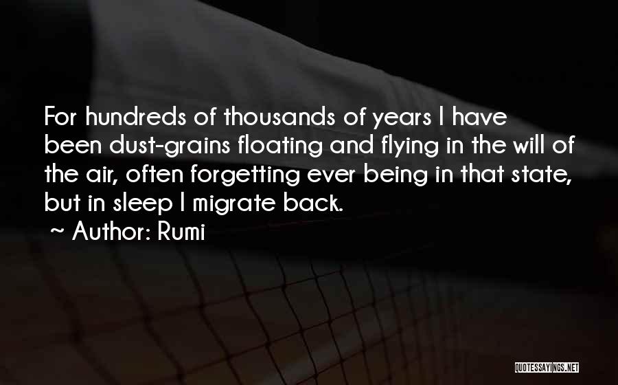Grains Quotes By Rumi