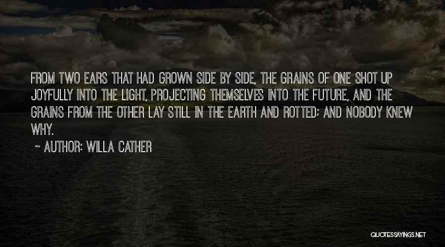 Grains Quotes By Willa Cather