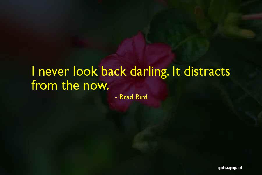 Gralia In Spanish Quotes By Brad Bird Gralia In Spanish Quotes By Brad Bird