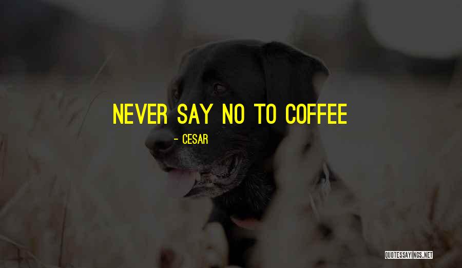 Gram Tica Generativa Quotes By Cesar Gram Tica Generativa Quotes By Cesar