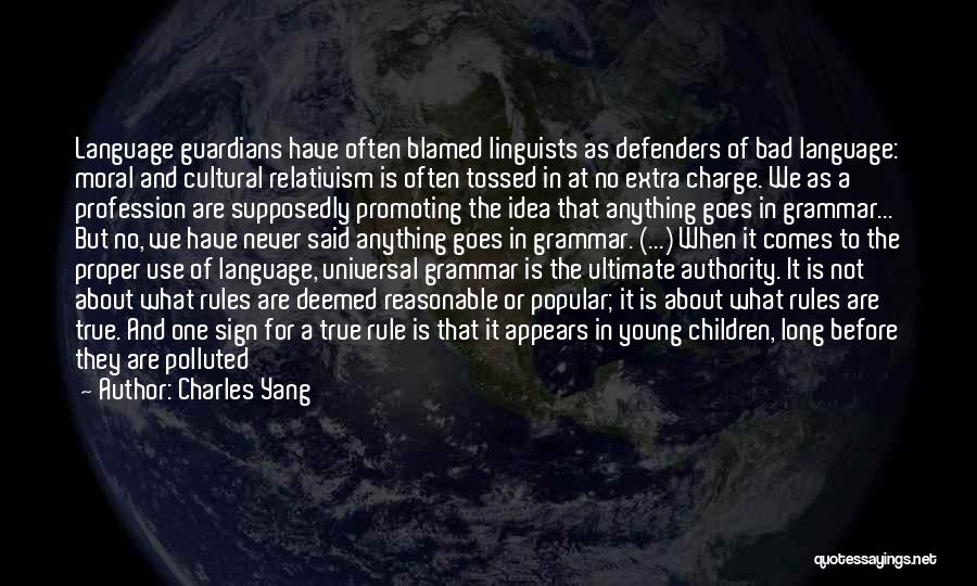 Grammar Rules For Long Quotes By Charles Yang
