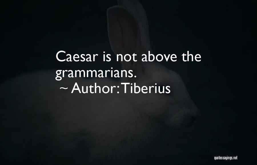 Grammarians Quotes By Tiberius