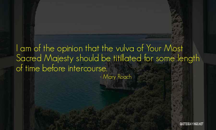 Granberg Chainsaw Quotes By Mary Roach Granberg Chainsaw Quotes By Mary Roach