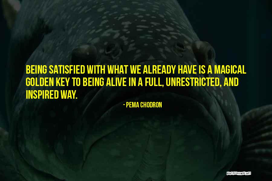 Grand And Toy Quotes By Pema Chodron Grand And Toy Quotes By Pema Chodron