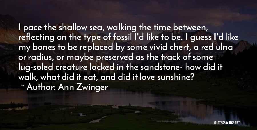Grand Canyon Nature Quotes By Ann Zwinger Grand Canyon Nature Quotes By Ann Zwinger