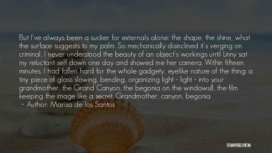 Grand Canyon Nature Quotes By Marisa De Los Santos