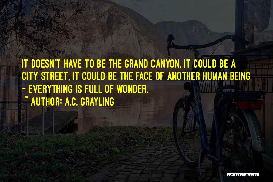 Grand Canyon Quotes By A.C. Grayling