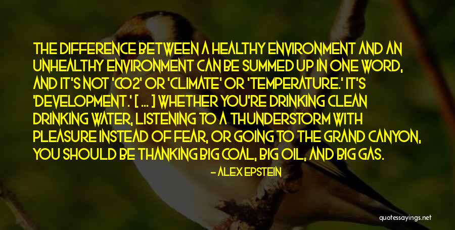 Grand Canyon Quotes By Alex Epstein Grand Canyon Quotes By Alex Epstein