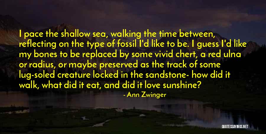 Grand Canyon Quotes By Ann Zwinger