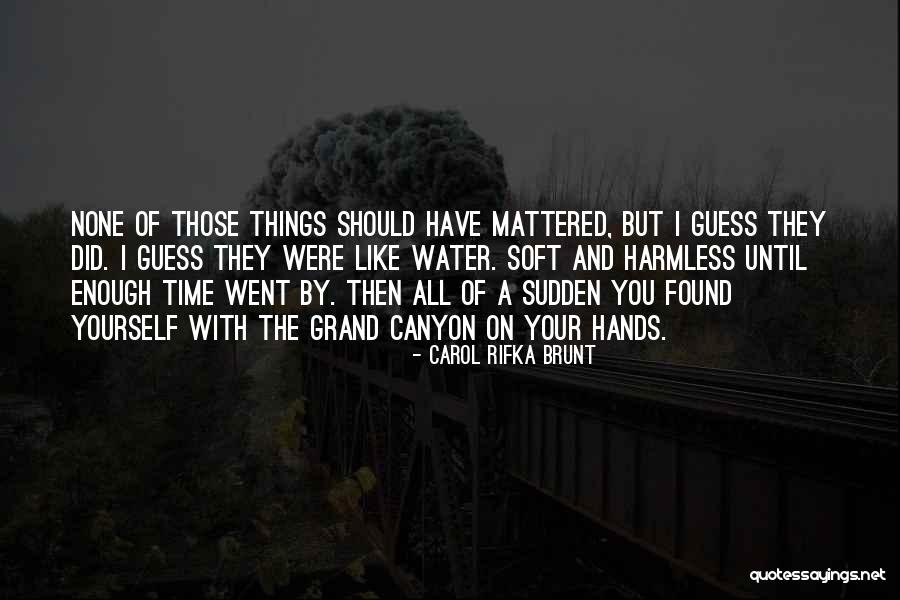 Grand Canyon Quotes By Carol Rifka Brunt Grand Canyon Quotes By Carol Rifka Brunt
