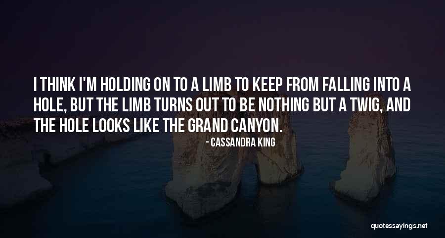 Grand Canyon Quotes By Cassandra King