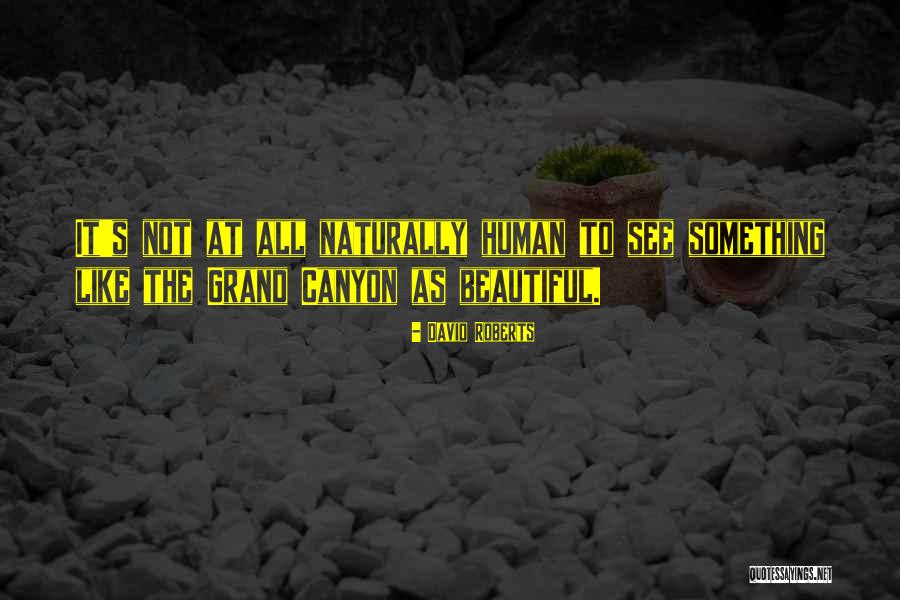 Grand Canyon Quotes By David Roberts Grand Canyon Quotes By David Roberts