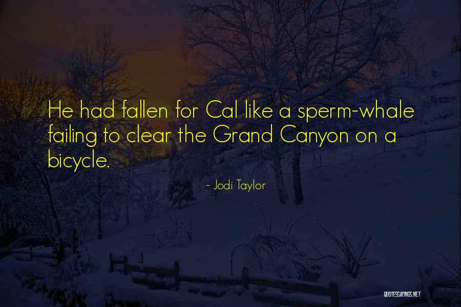 Grand Canyon Quotes By Jodi Taylor