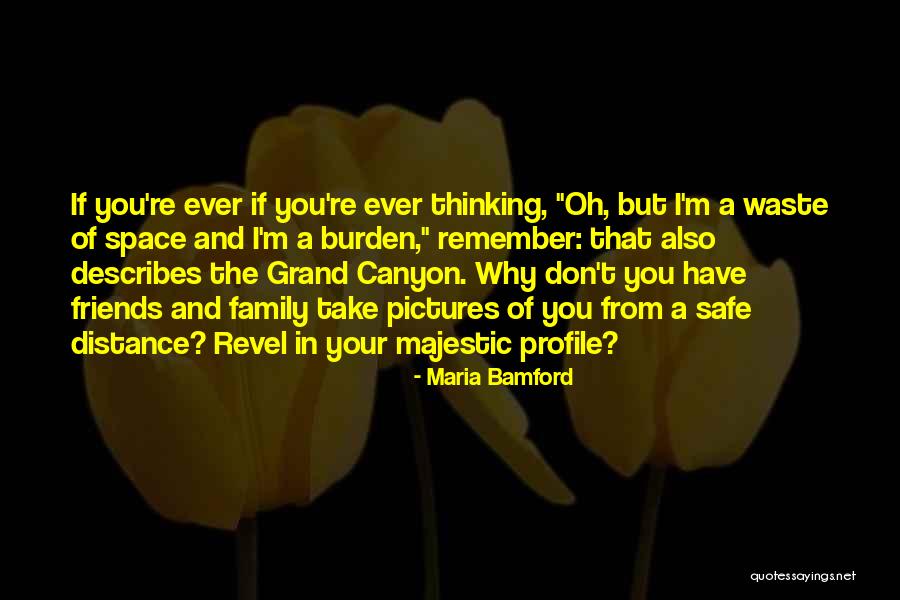 Grand Canyon Quotes By Maria Bamford