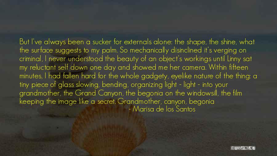 Grand Canyon Quotes By Marisa De Los Santos