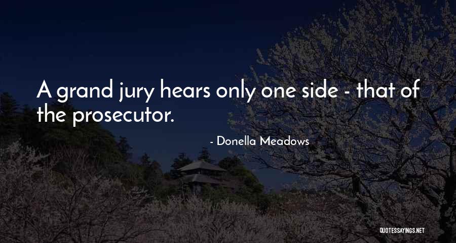 Grand Jury Quotes By Donella Meadows