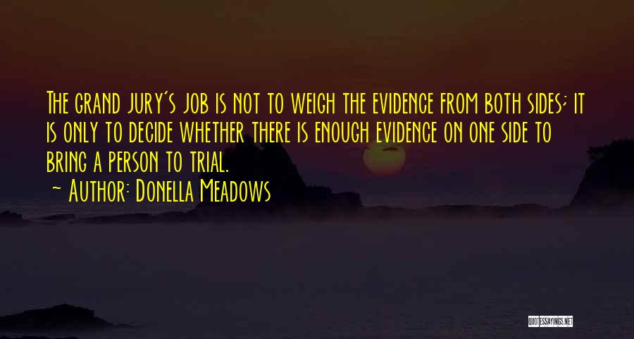 Grand Jury Quotes By Donella Meadows
