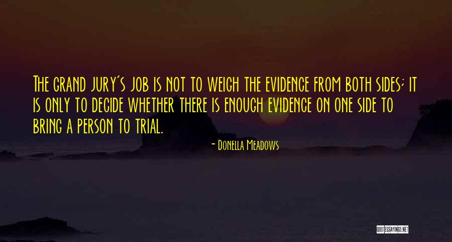 Grand Jury Quotes By Donella Meadows