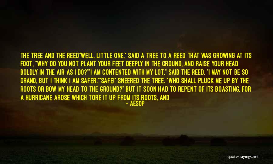 Grand Little Quotes By Aesop Grand Little Quotes By Aesop
