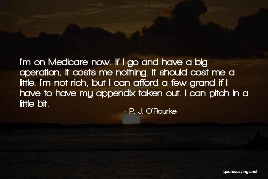 Grand Little Quotes By P. J. O'Rourke Grand Little Quotes By P. J. O'Rourke