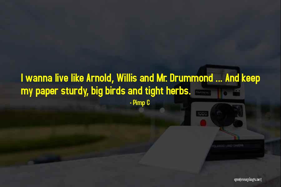 Grandcestors Paleo Quotes By Pimp C Grandcestors Paleo Quotes By Pimp C